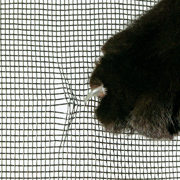 猫用強化網戸